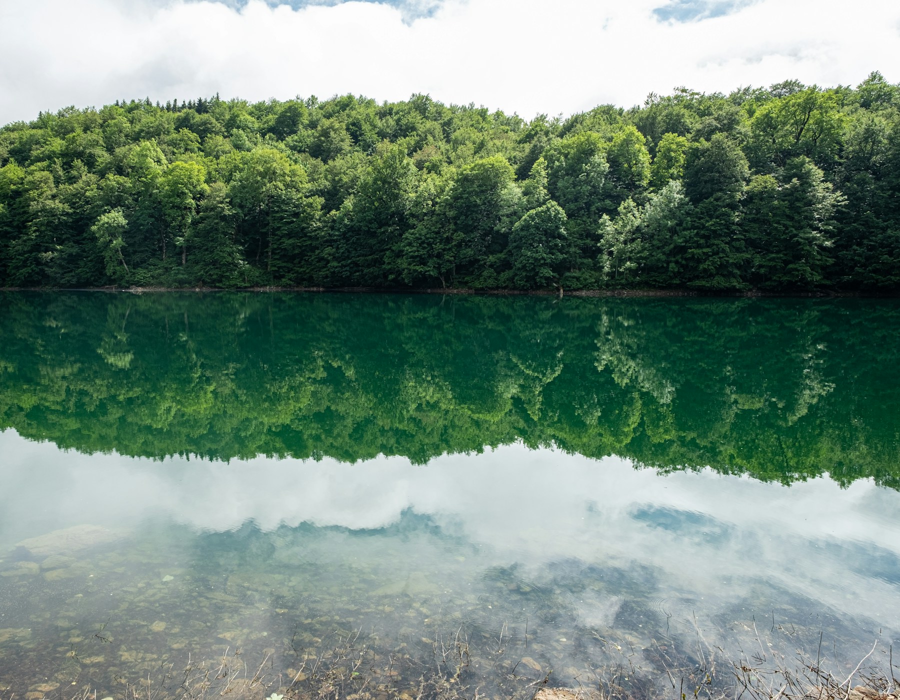 Вода і віддзеркалення